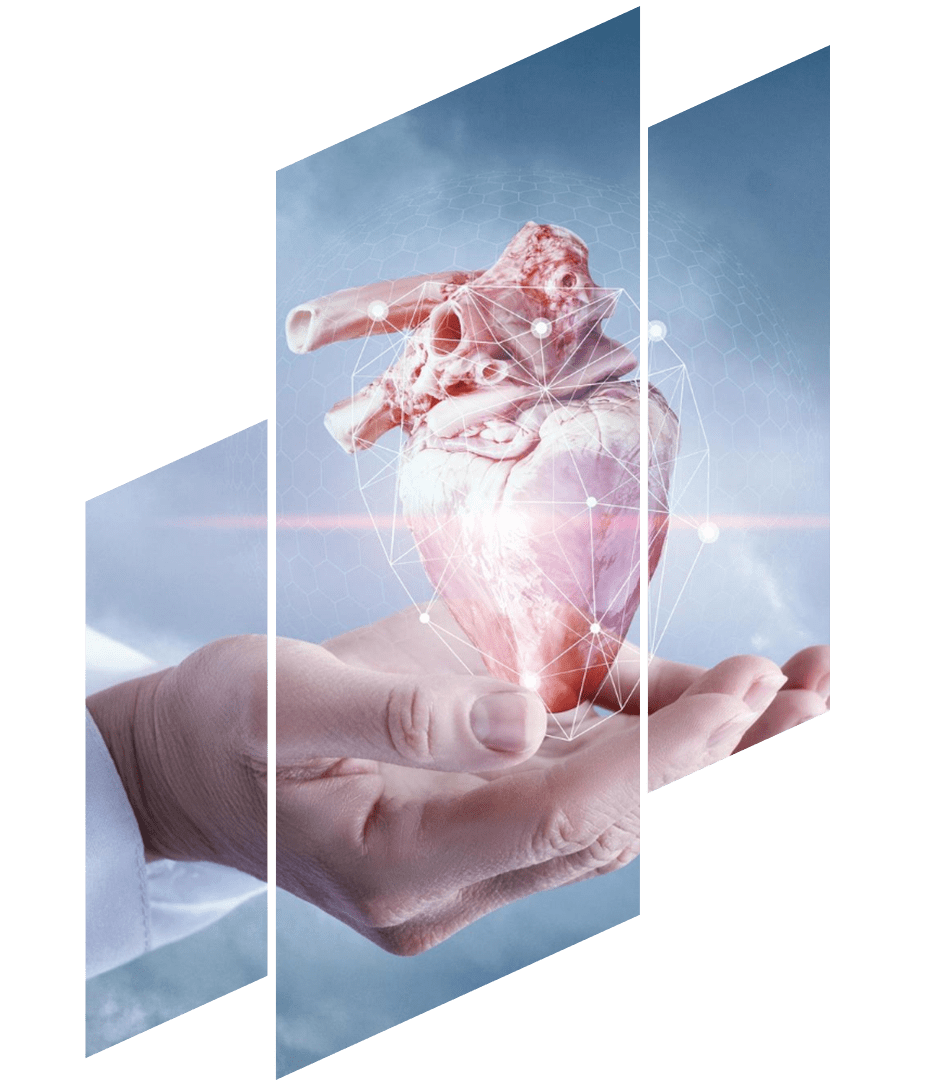cardiologia-clinica.png
