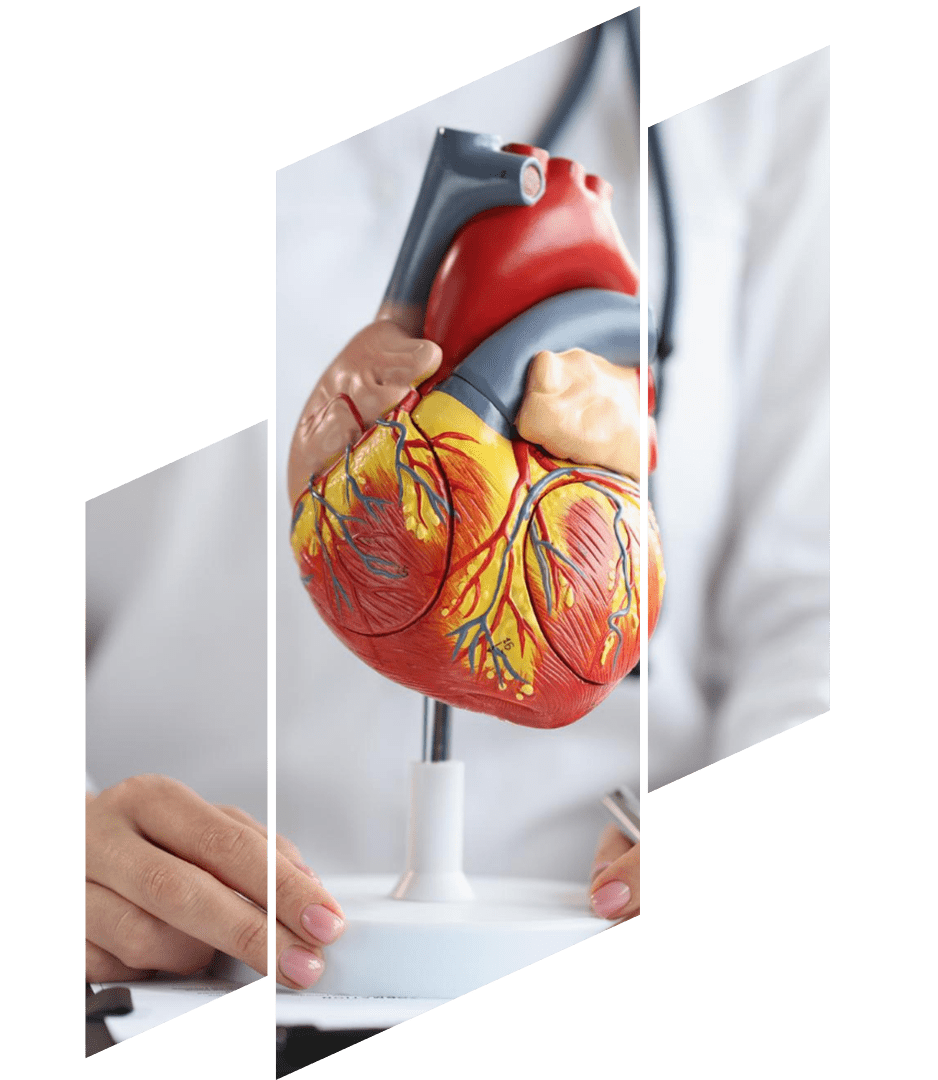 cardiologo-certificado.png
