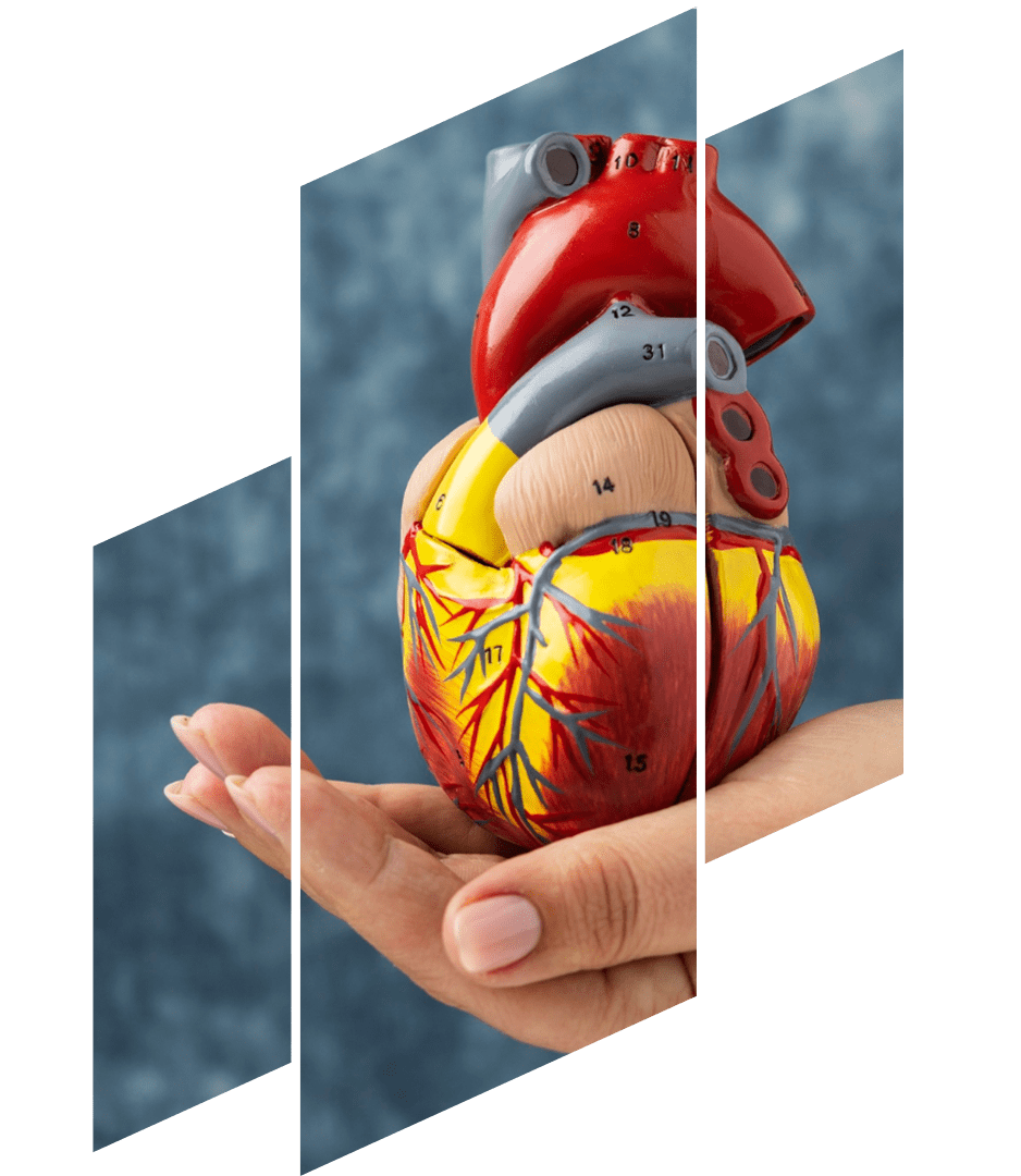 cardiopatias-precio-consulta.png