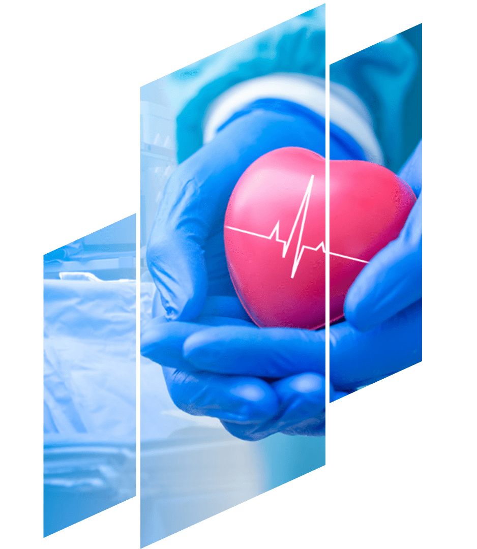 consulta-cardiaca-online.png