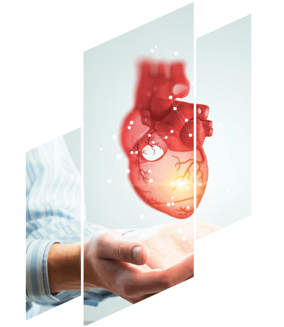 doctor-en-cardiologia.png